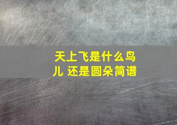 天上飞是什么鸟儿 还是圆朵简谱